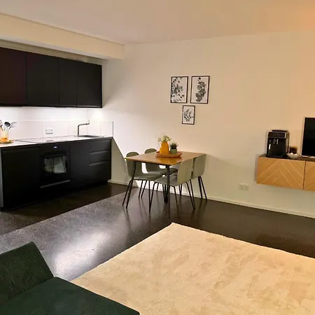 Isaak Apartment Stadtperle Waldshut-Tiengen Eksteriør billede