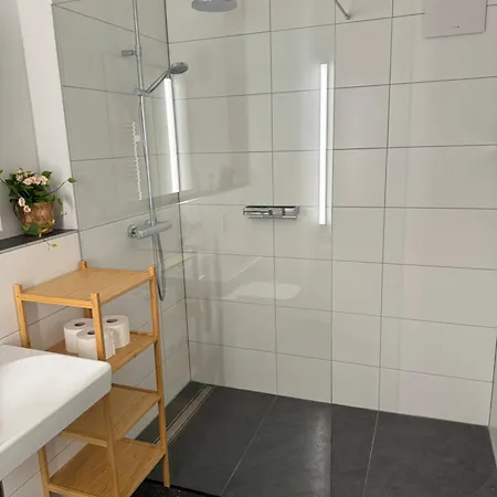 Isaak Apartment Stadtperle Waldshut-Tiengen Eksteriør billede