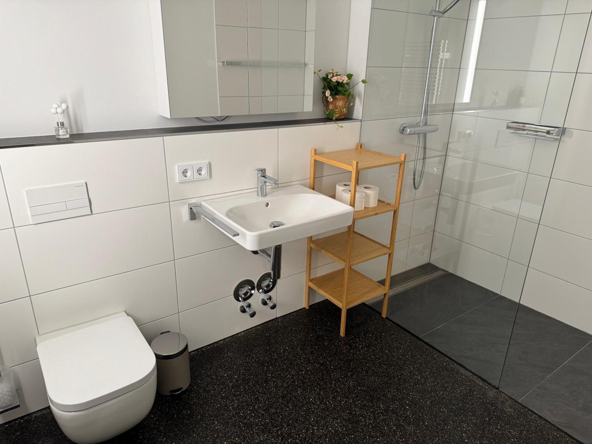 Apartment Isaak Stadtperle Waldshut-Tiengen